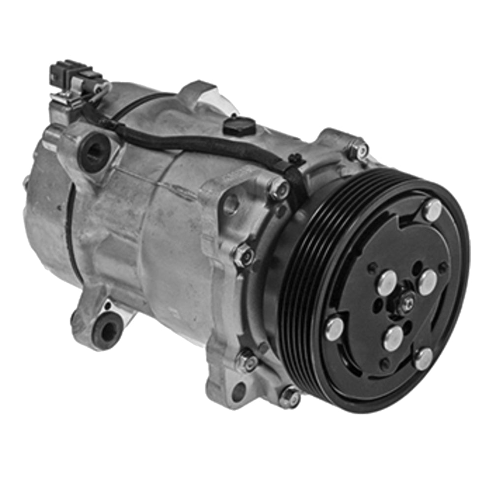 Compressor SD7V16 1100 PV6 20-10781-AM