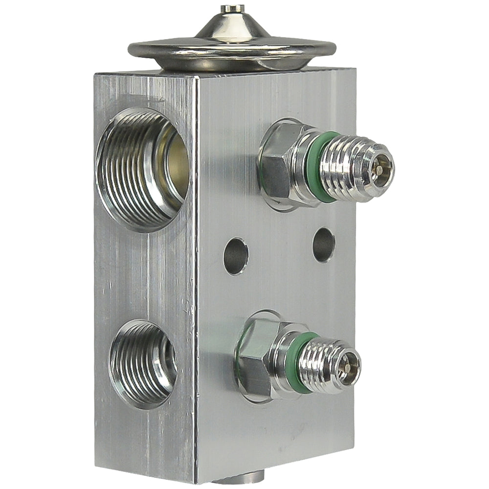 Expansion Valve Blk Red DOT 71R8450 31-30981