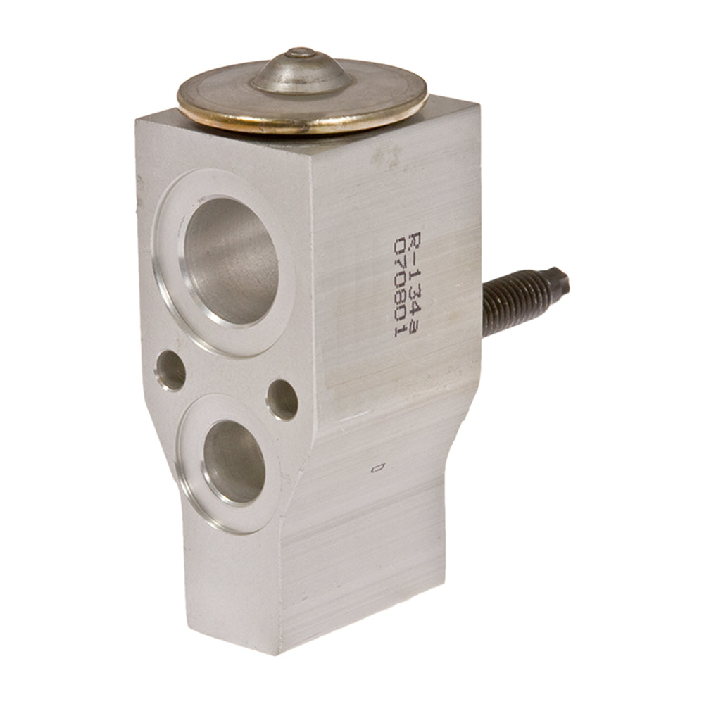 Expansion Valve Gm 05-08 Uplander Montana 05-08 Aux 31-31099