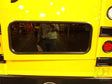 440335 Collins Glass Rear Door Lower Temp As3