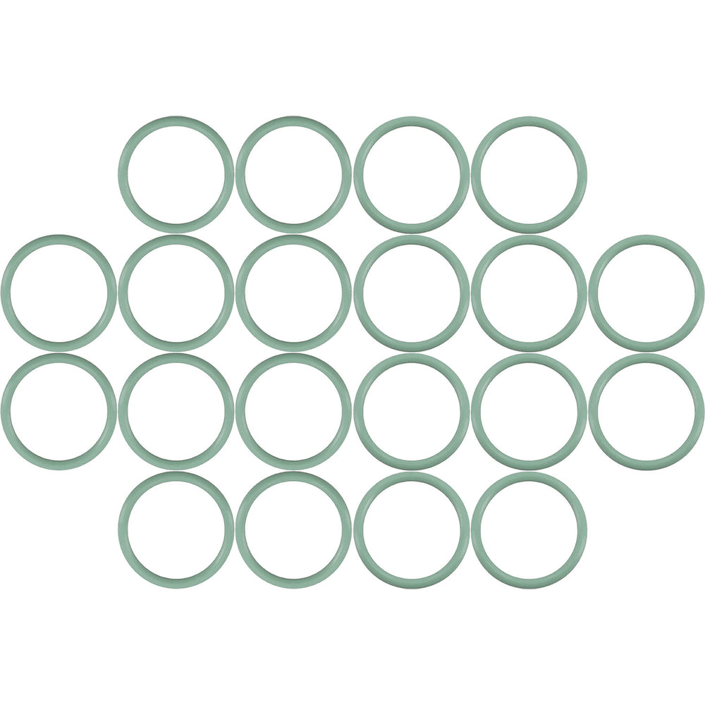 100 Per Green HNBR O-ring - #12 (3/4") Standard MT0267-100