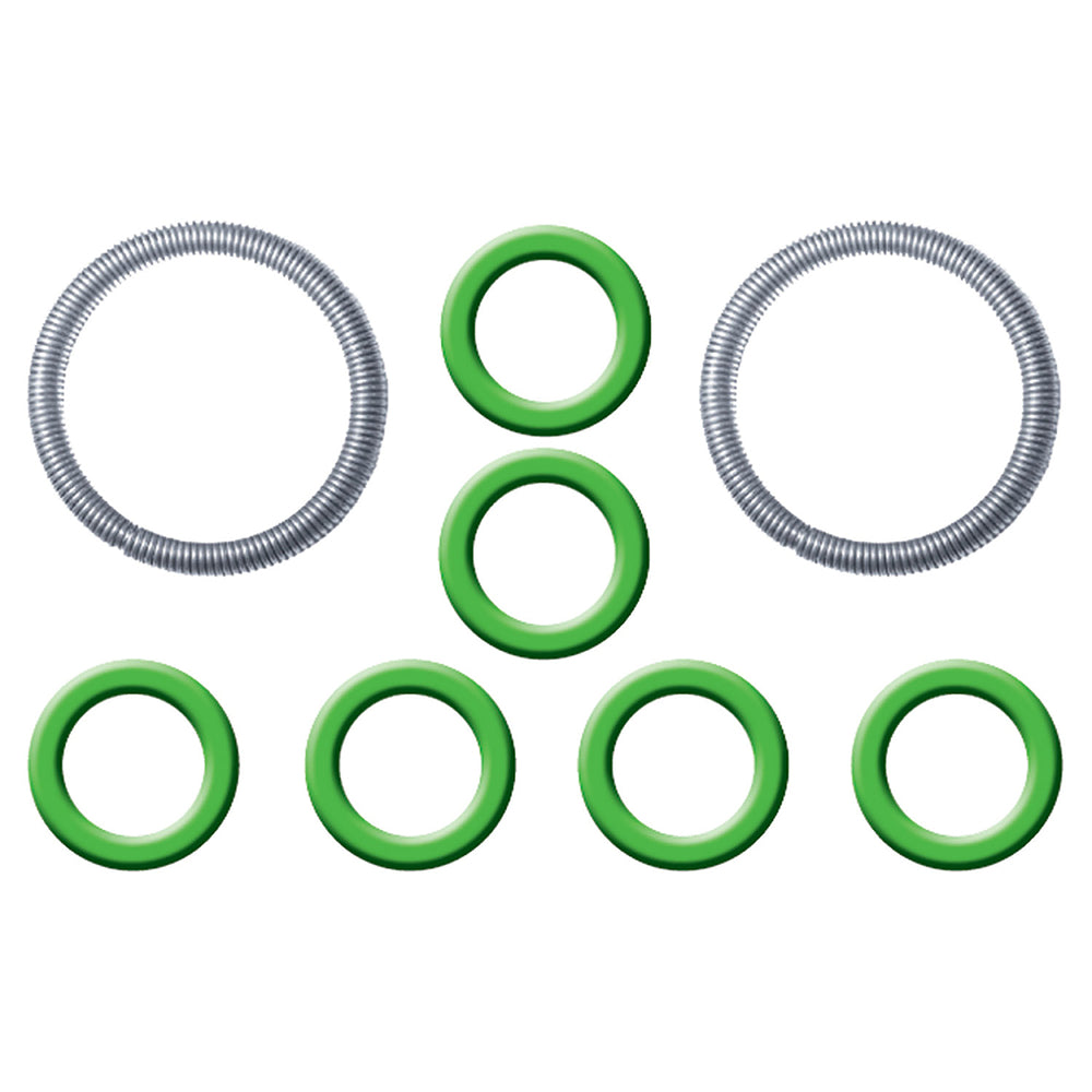 Ford Spring Lock Fitting Garter Springs & O-rings MT0849
