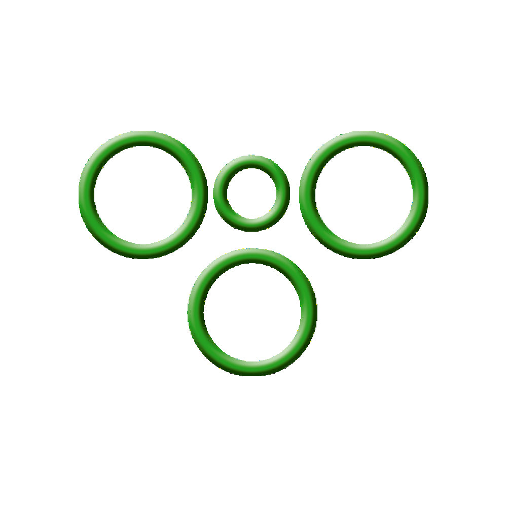 Toyota R12 Block Expansion Valve O-ring Kit MT2231