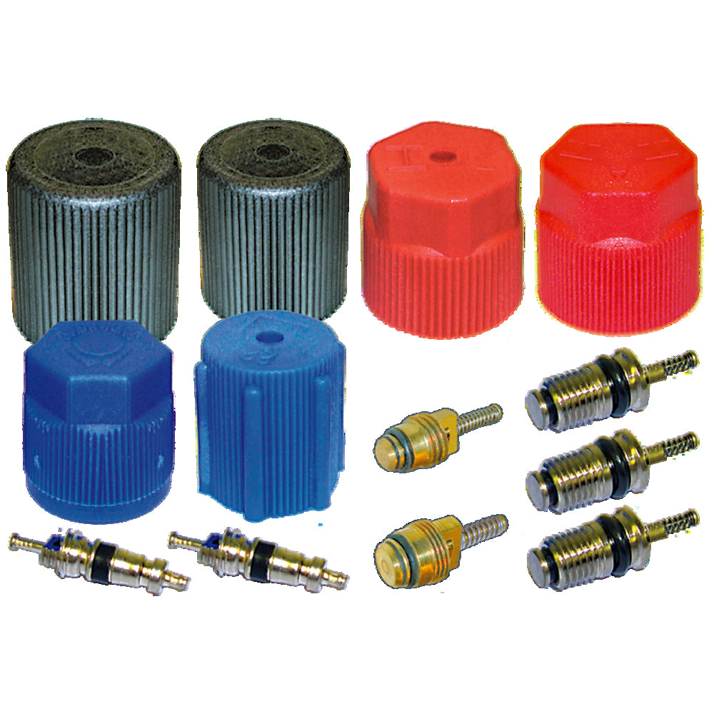 Cap & Valve Kit (see Application Guide) MT2906