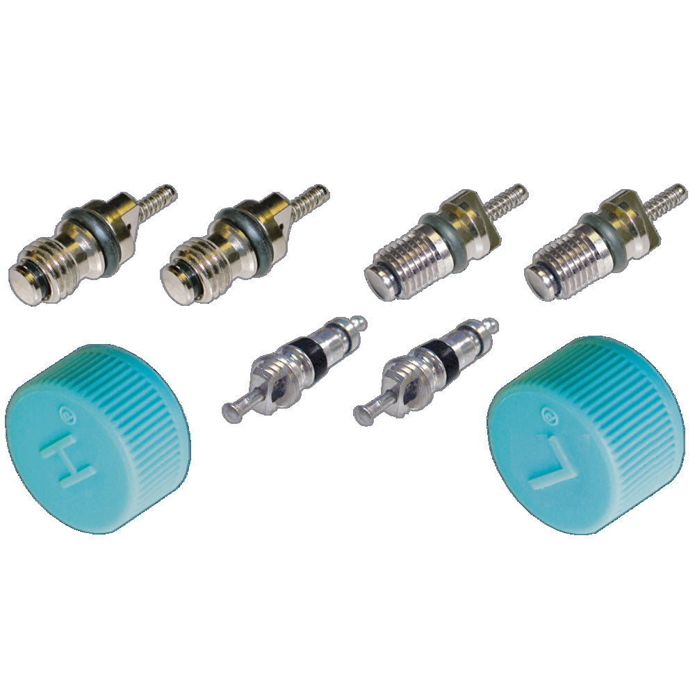 Cap & Valve Kit (see Application Guide) MT2913