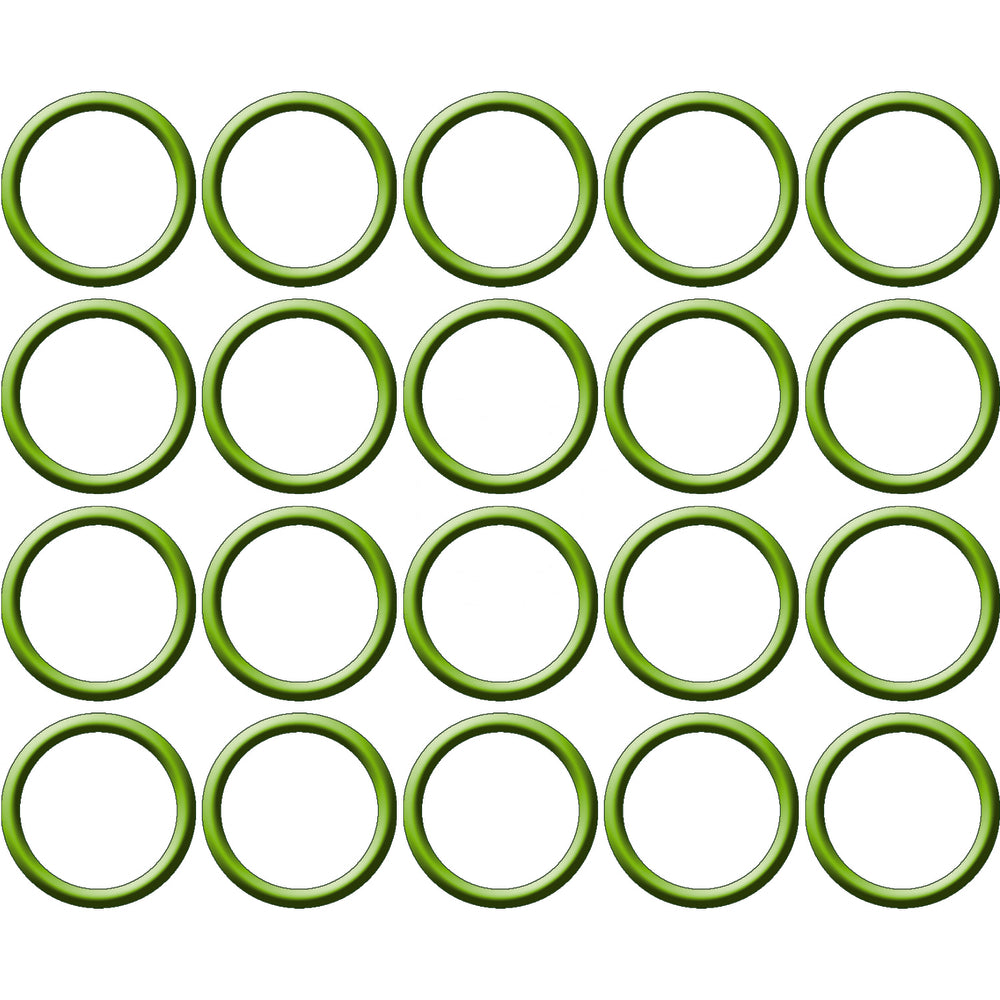 20 Pk, Green HNBR O-ring MT0461