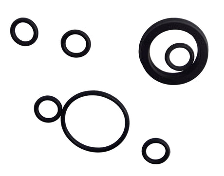 SEAL KIT,PUMP,MANUAL BACK-UP RIV2-SH-220 - Don Brown Bus Parts