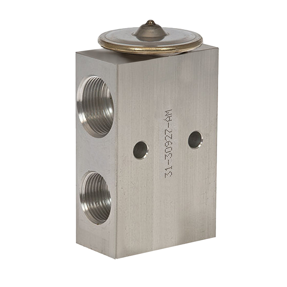 Expansion Valve Block 31-30927-AM