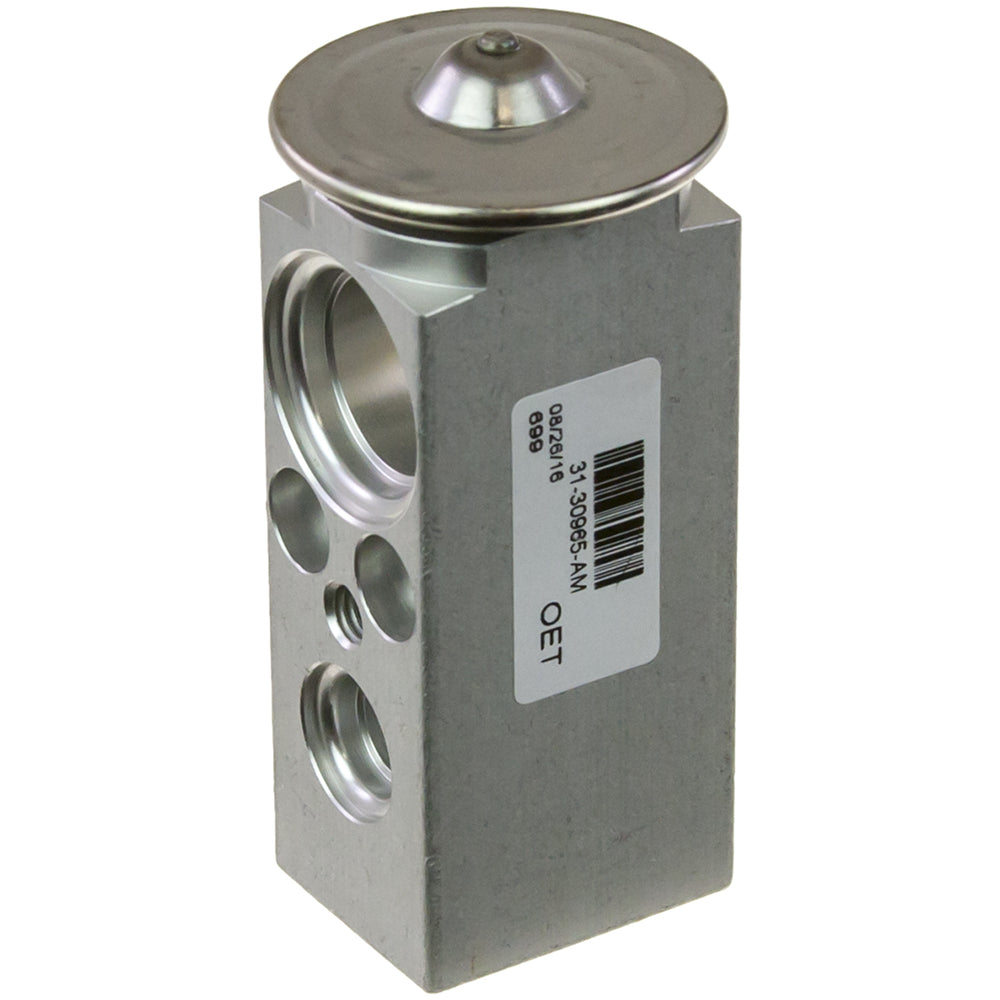 Expansion Valve Block Type Gm 52464384 31-30965-AM