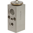 Expansion Valve Kit 01-05 Gm Venture/montana/silhouette 31-31042-AM