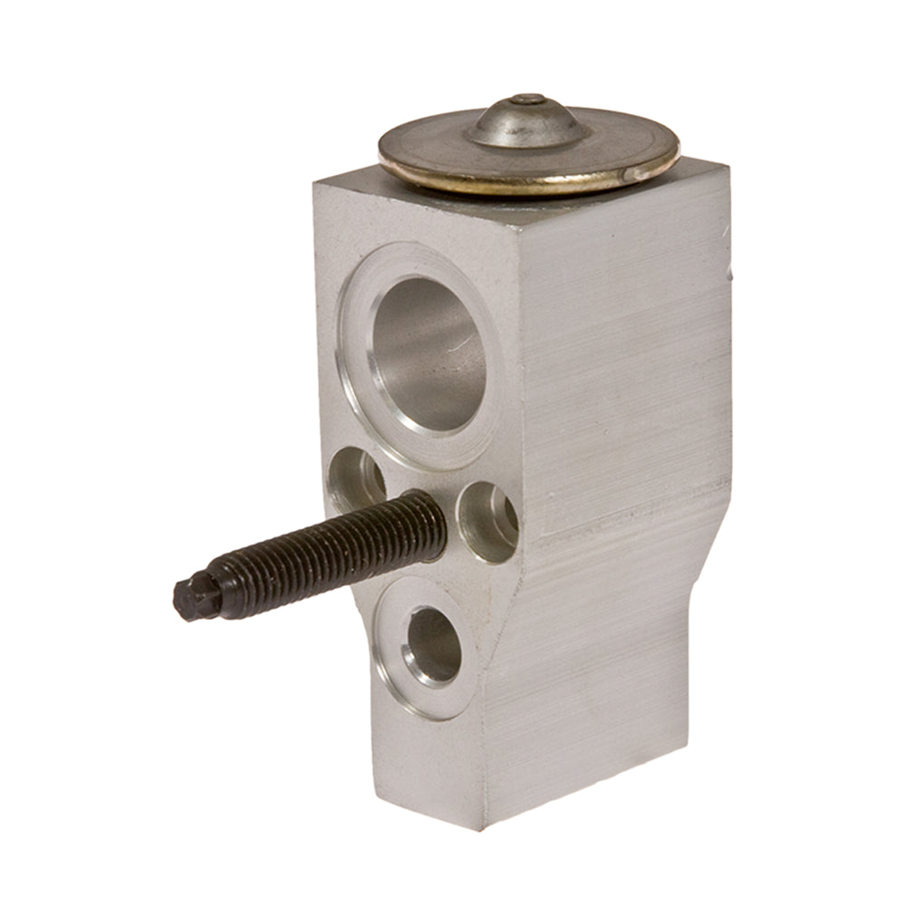 Expansion Valve Gm 05-08 Uplander Montana 05-08 Aux 31-31099