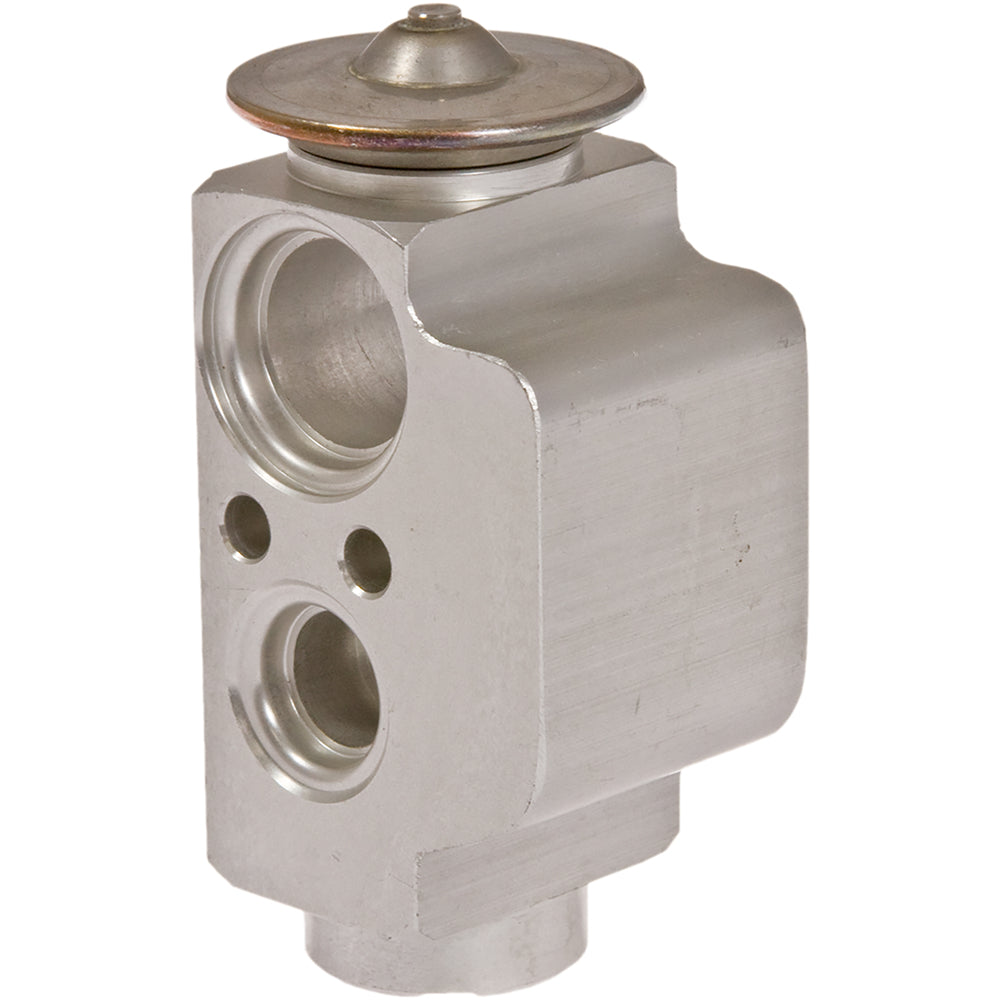 Expansion Valve Vw Touareg 04-07 Cayenne 04-06 31-31107