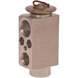 Expansion Valve Bmw X5 07-08 31-31150