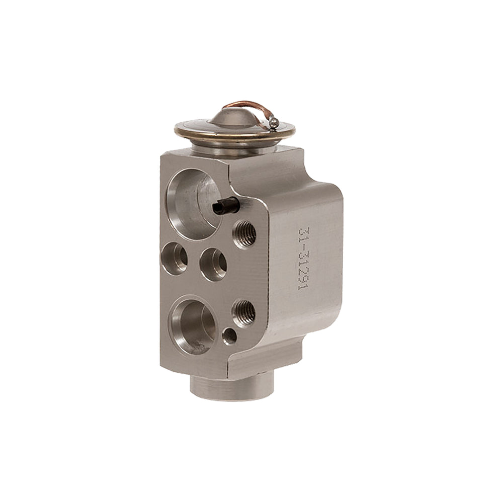 Expansion Valve Block 31-31291
