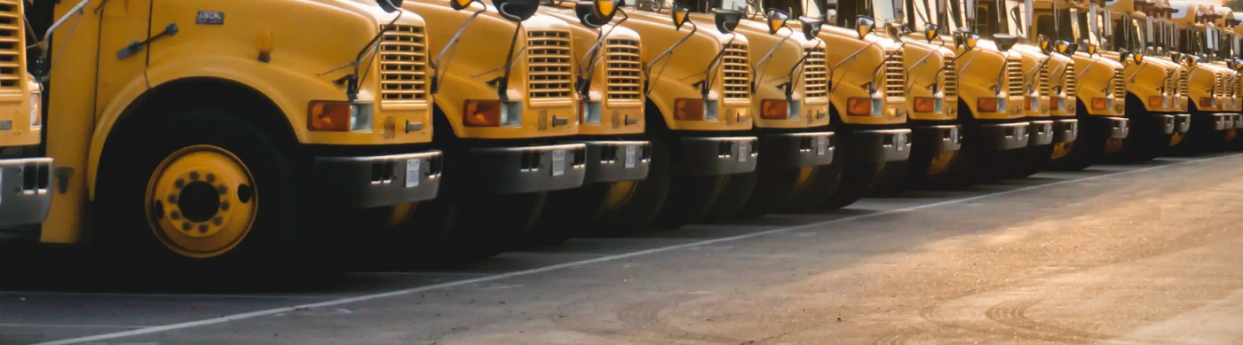 Row of School Buses