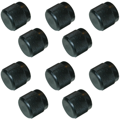 10 Pk R12 Valve Cap - Black Plastic - Low & High MT0060-10