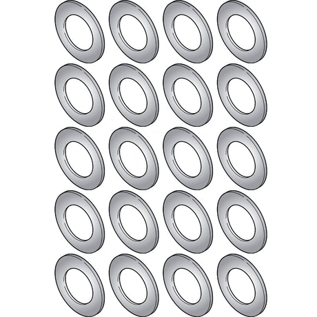20 PK A/C CLUTCH SHIM - C171/FS6/DKS16H - .020in MT0083
