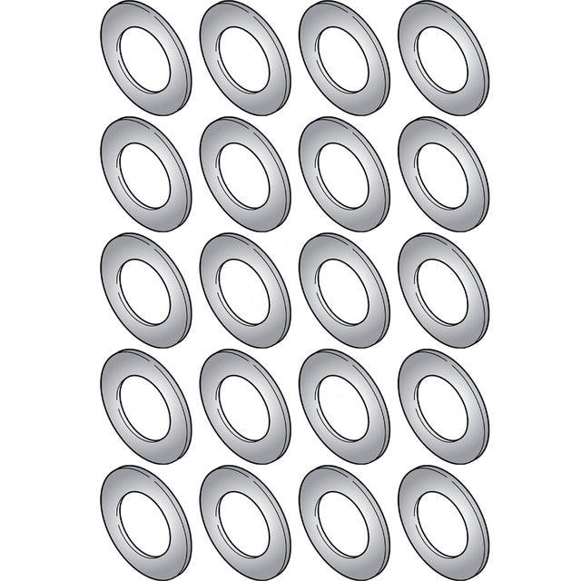 20 PK A/C CLUTCH SHIM - C171/FS6/DKS16H - .020in MT0083