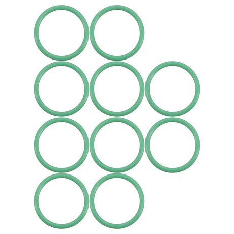 10 Pk Green HNBR O-ring - #12 (3/4") Standard MT0267-10