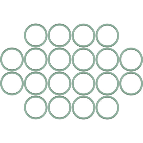 100 Per Green HNBR O-ring - #12 (3/4") Standard MT0267-100