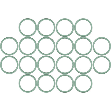 20 Pk Green HNBR O-ring - #12 (3/4") Standard MT0267
