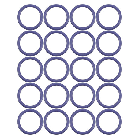 20 Pk Purple HNBR O-ring - Audi/vw MT0306