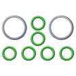 Ford Spring Lock Fitting Garter Springs & O-rings MT0848
