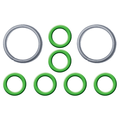 Ford Spring Lock Fitting Garter Springs & O-rings MT0848