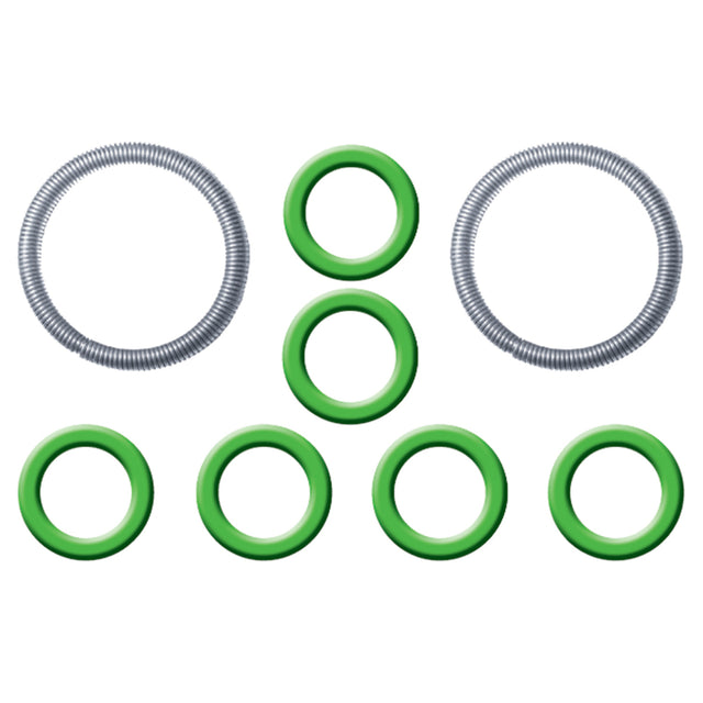 Ford Spring Lock Fitting Garter Springs & O-rings MT0848