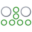 Ford Spring Lock Fitting Garter Springs & O-rings MT0849