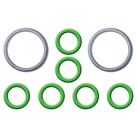 Ford Spring Lock Fitting Garter Springs & O-rings MT0849