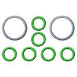 Ford Spring Lock Fitting Garter Springs & O-rings MT0850