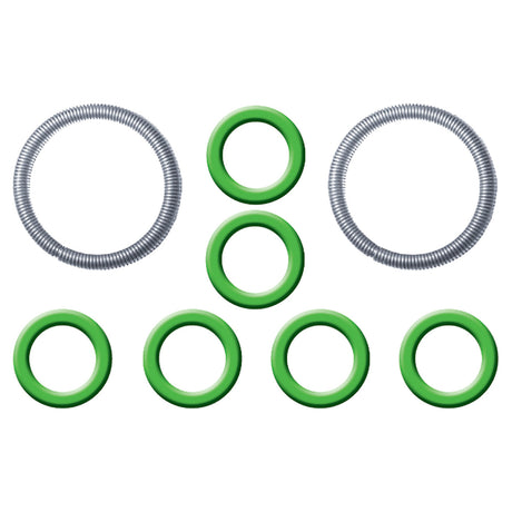 Ford Spring Lock Fitting Garter Springs & O-rings MT0850