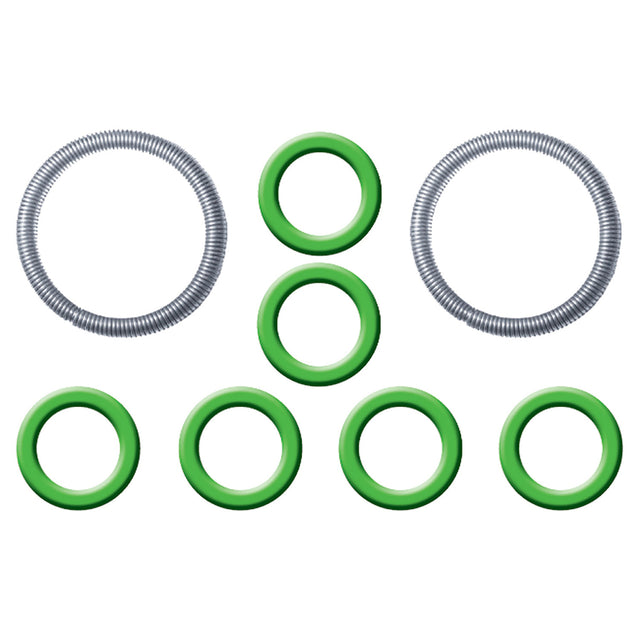 Ford Spring Lock Fitting Garter Springs & O-rings MT0850