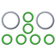 Ford Spring Lock Fitting Garter Springs & O-rings MT0851