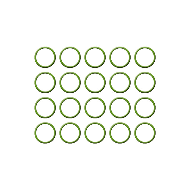 20 Pk, O-ring, Green HNBR MT1383