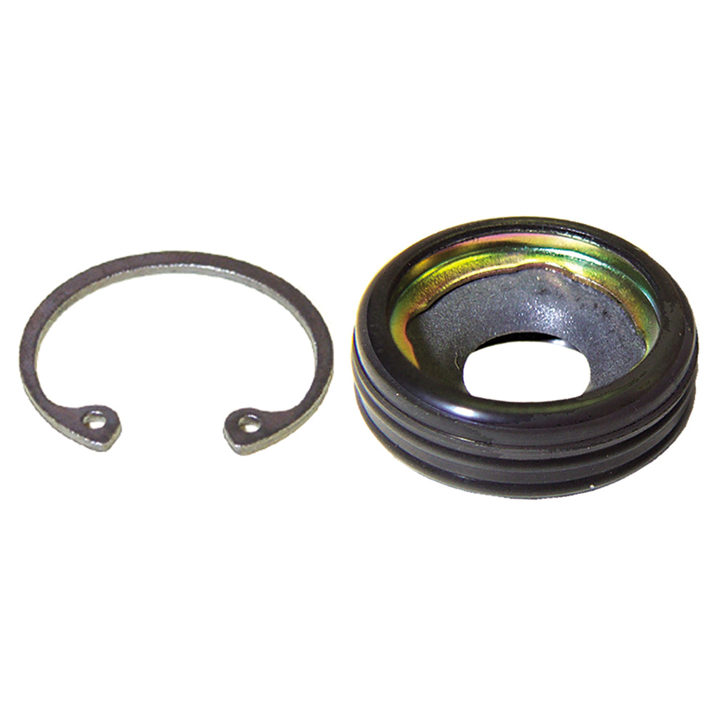 Compressor Shaft Seal Kit - Visteon VS16 Lip Seal MT2248
