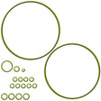 Compressor O-ring Kit - Sanden Trse07/trsa09 MT2278