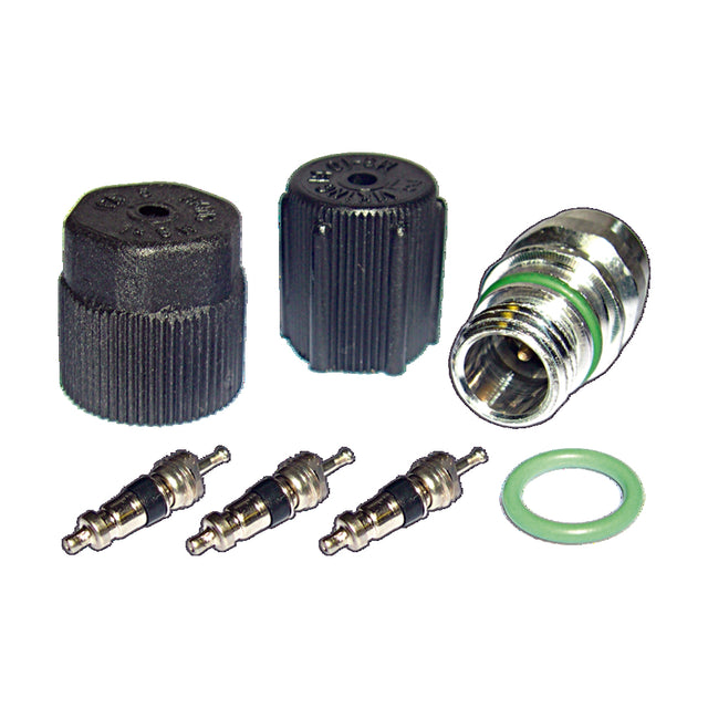 Cap & Valve Kit (see Application Guide) MT2901