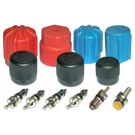 Cap & Valve Kit (see Application Guide) MT2903
