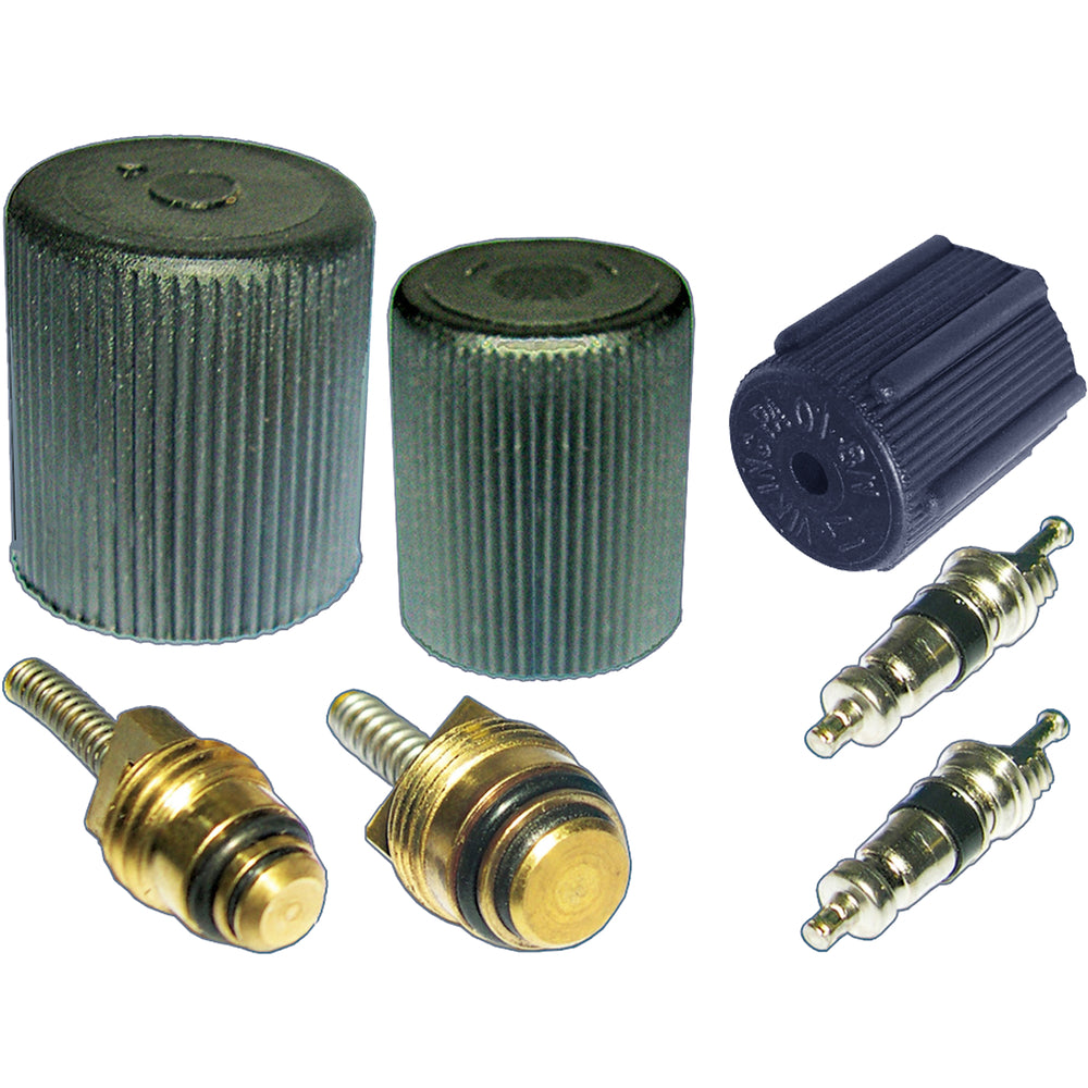 Cap & Valve Kit (see Application Guide) MT2905