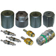 Cap & Valve Kit (see Application Guide) MT2908
