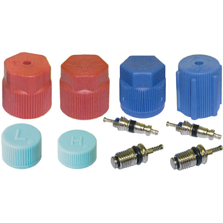 Cap & Valve Kit (see Application Guide) MT2909