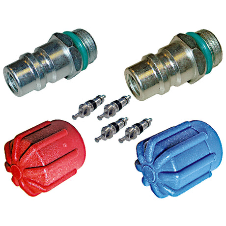 Cap & Valve Kit (see Application Guide) MT2910