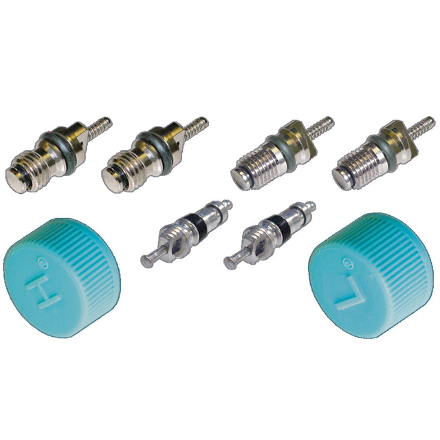 Cap & Valve Kit (see Application Guide) MT2913