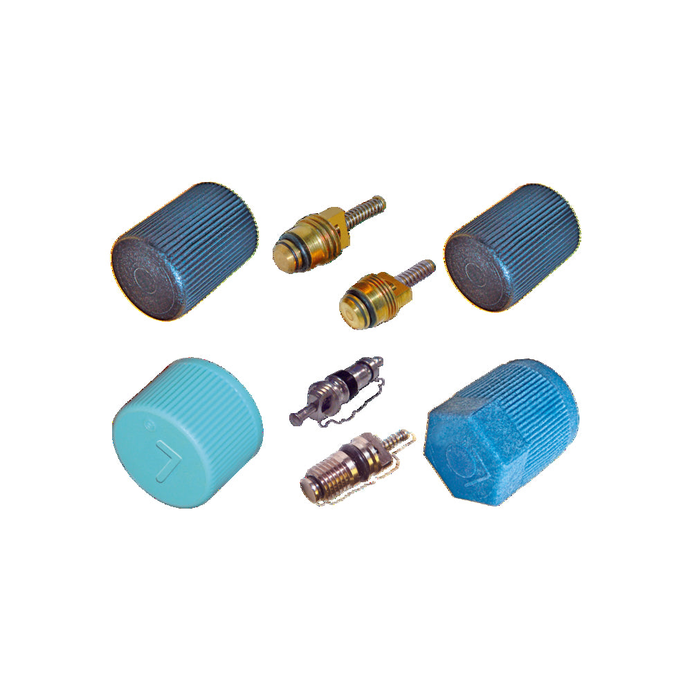 Cap & Valve Kit (see Application Guide) MT2914