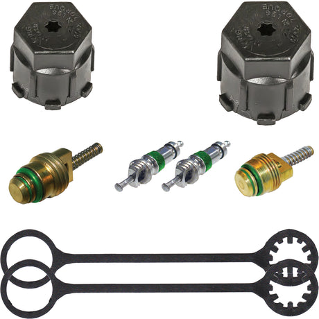 Cap & Valve Kit (see Application Guide) MT2915