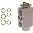 Expansion Valve Bmw X5 07-08 MT5580