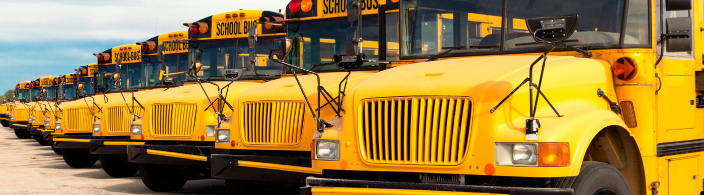 Row of school buses