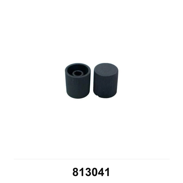 Cap, High Side Charge Port, EZ Clip 813041 - Don Brown Bus Parts